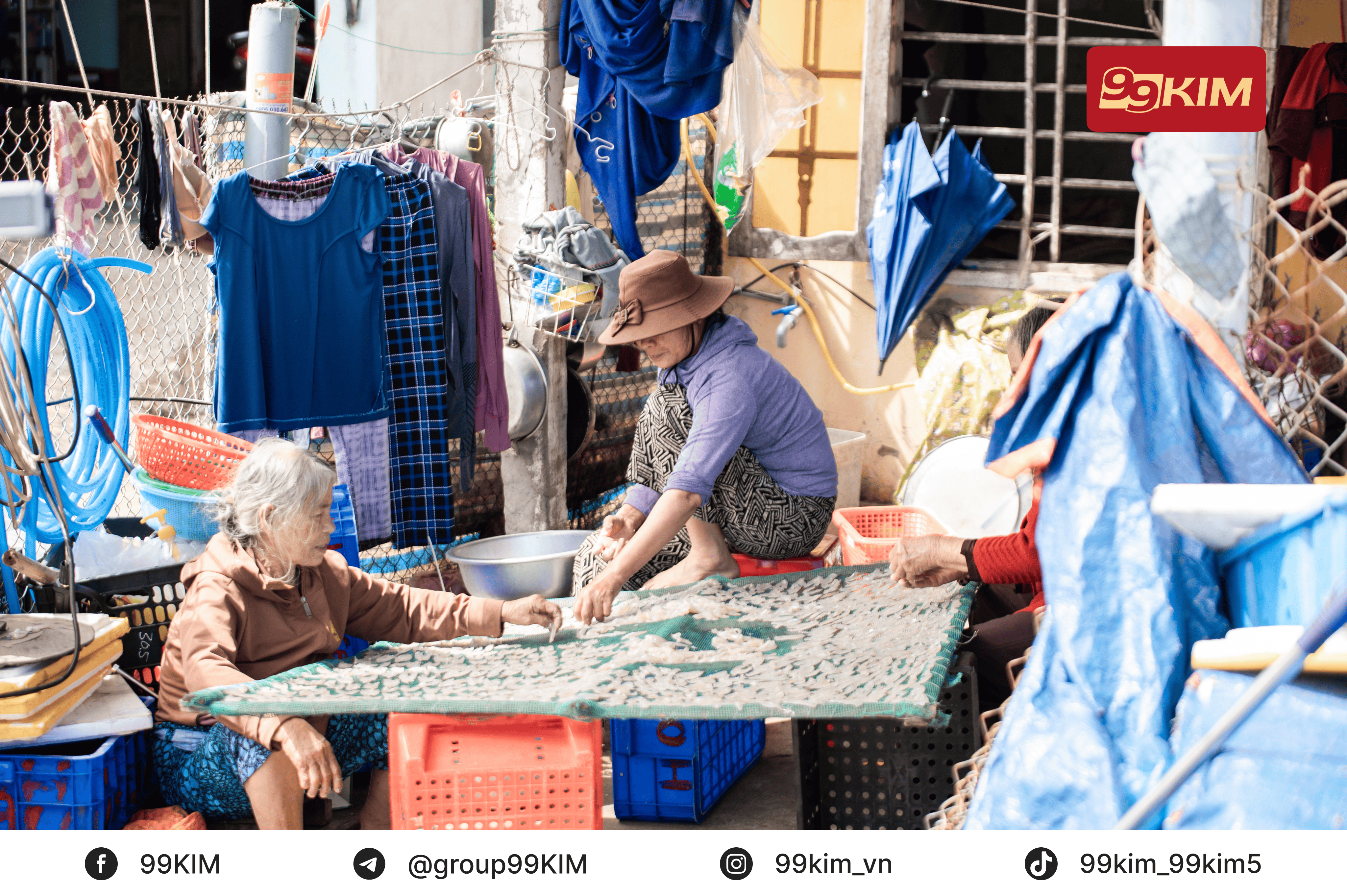 Đoàn 99KIM tại Quảng Ngãi